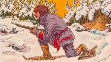 Optical Illusion : अगर आप भी है एक Genius तो तस्वीर में छिपा भालू 10 सेकेंड में ढूंढ कर चैलेंज करें पूरा