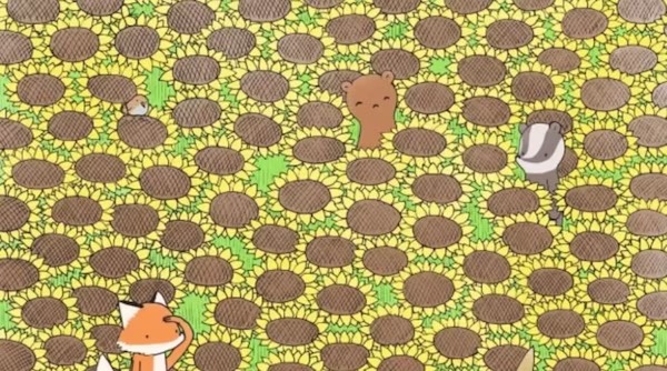 Optical Illusion : फूलों के बीच छुपी है तितली, चील सी नजर वाले ही 15 सेकेंड में इस चैलेंज को कर सकते है पुरा