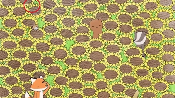 Optical Illusion : फूलों के बीच छुपी है तितली, चील सी नजर वाले ही 15 सेकेंड में इस चैलेंज को कर सकते है पुरा