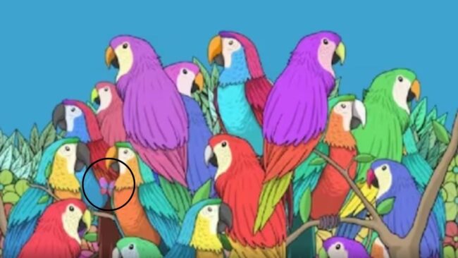 Optical Illusion : तोते के झुंड के बीच छुपी हुई है एक तितली, तेज नजर वाले ही 5 सेकेंड में इस चैलेंज को कर सकते हैै पुरा