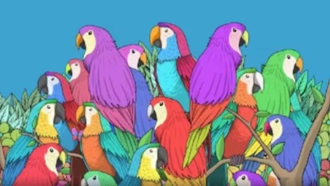 Optical Illusion : तोते के झुंड के बीच छुपी हुई है एक तितली, तेज नजर वाले ही 5 सेकेंड में इस चैलेंज को कर सकते हैै पुरा