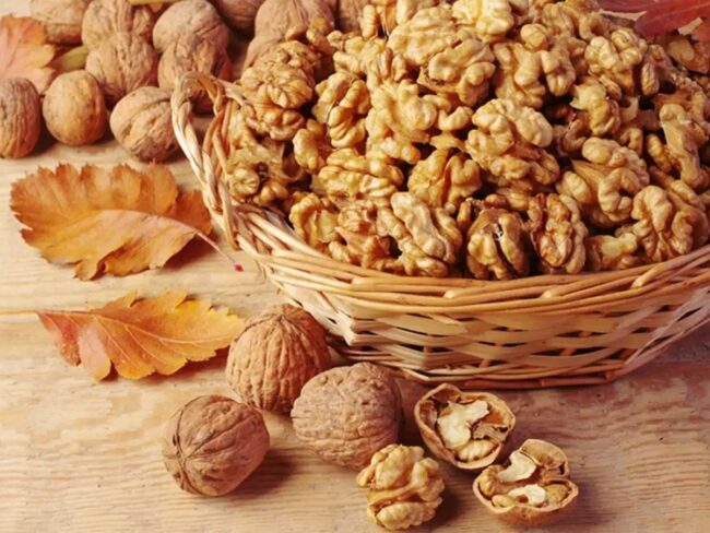 Brain Boosting Foods: बच्चों के दिमाग को एक्टिव करेंगी ये 7 चीजें, आज ही करें डाइट में शामिल, बढ़ेगा ब्रेन पावर