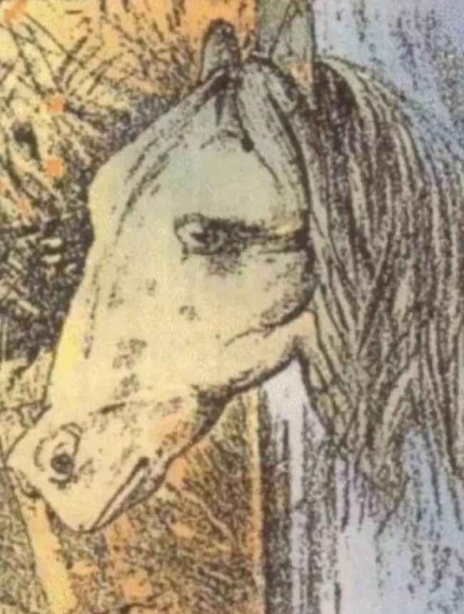 Optical Illusion : क्‍या देखा आपने पहले- घोड़ा या मेंढक, तेज नजर वाले ही 5 सेकेंड में इस चैलेंज को कर सकते है पुरा....