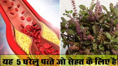 Home Remedies For LDL Cholesterol: नसों में जमे बैड कोलेस्ट्रॉल को पिघलाकर ब्लॉकेज खोलेंगे ये घरेलु पत्ते, बीमारियां होगी दूर... 