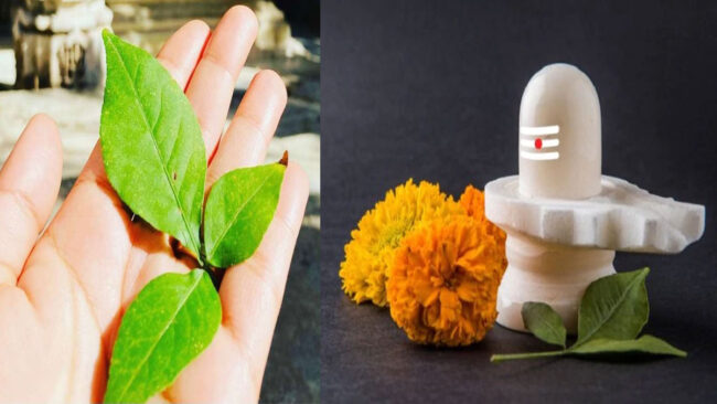 Mahashivratri 2024: शिवरात्रि पर महादेव को प्रसन्‍न करने के लिए चढ़ाए यह 6 चीजें, हर मनोकामना होगी पुरी