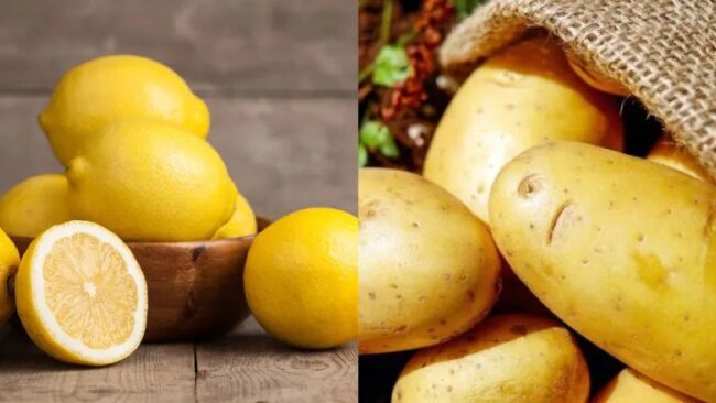 Beauty Tips For Home Remedies: चेहरे की झाइयां छीन रही हैं आपकी खूबसूरती तो अपनाएं ये घरेलू नुस्खे, दाग-धब्बे भी होगे दूर