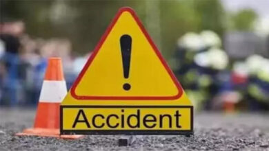 Betul Accident : बरेठा घाट में चलती बाइक पर कूदा बारहसिंगा, बाइक सहित खाई में गिरे दम्पति की हालत गम्भीर