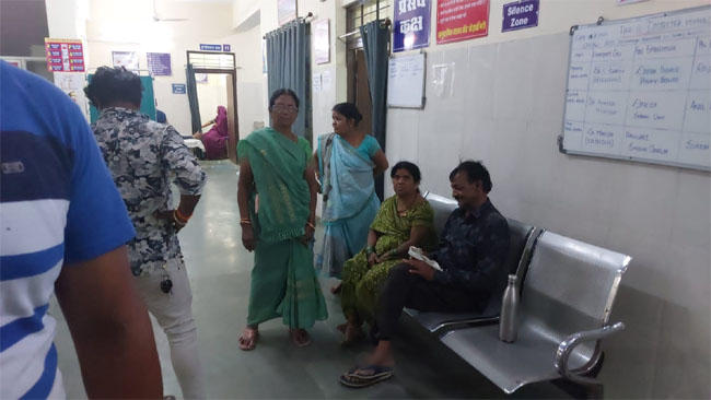 Betul Samachar : धाराखोह के जंगल में पूजा करने गए लोगों पर मधुमक्खियों का हमला