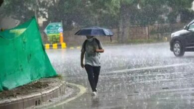 Weather Update: 30 से 40 किलोमीटर प्रति घंटे की रफ्तार से चलेगी तेज हवाएं
