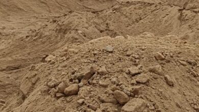 Betul Ret Mafia Action