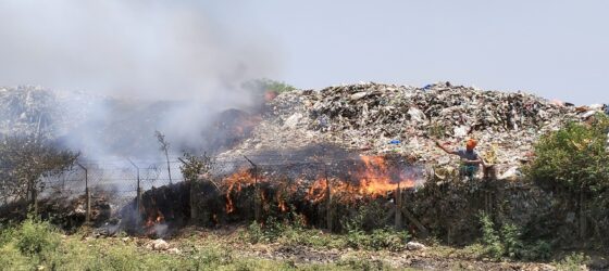 Betul Taza News: ट्रेचिंग ग्राउंड गौठान में भीषण आग, फायर ब्रिगेड पहुंची