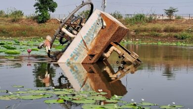 Today Betul News: अभिनंदन सरोवर में औंधे मुहं पड़ी नपा की लाखों की संपत्ति