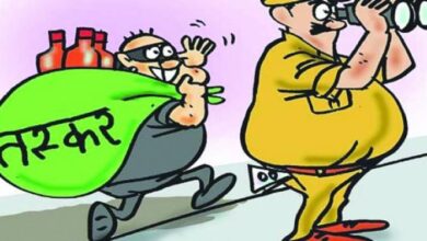 Betul Today News: हाई प्रोफाइल मुखबिरी के बाद पकड़ाई 107 पेटी अवैध शराब