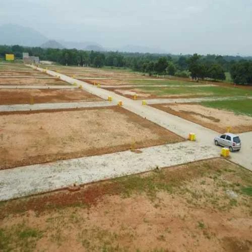 Betul News: किस्तों से प्लाट की स्कीम के झांसे में पड़े लोग
