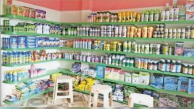 Betul Today News: गांव-गांव बिना लाईसेंस के संचालित हो रही बीज की दुकानें