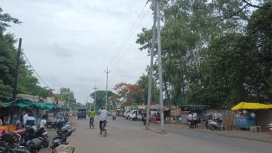 Today Betul News: बिजली पोल खड़े कर भूली नपा,बस स्टैंड रोड पर स्ट्रीट लाइट तक नहीं