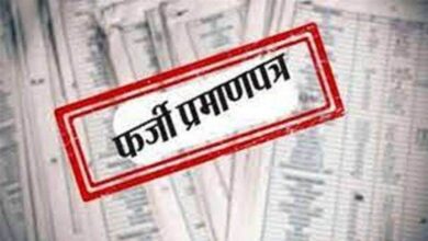 Fake Disabled Certificate: फर्जी दिव्यांग प्रमाण पत्र को नौकरी करने वालों की होगी जांच