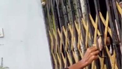 Betul News: Video: इंदिरा कालोनी में गांजे की बिक्री, पुलिस को नहीं पता