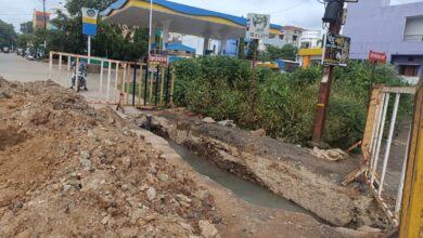 Betul Ki Khabar: सीएमओ अवकाश पर, नपा के अधिकारी बेलगाम