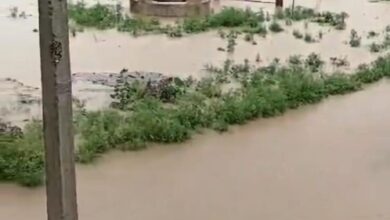 Betul Samachar : भारी बारिश से उफनी नदियां, साढ़े 3 घंटे राजधानी भोपाल से टूटा सड़क संपर्क