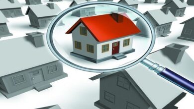 Betul News: पटवारी दे रहे अवैध कालोनी बनाने वालों को संरक्षण!