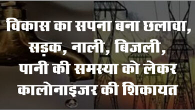 Betul News: विकास का सपना बना छलावा, सड़क, नाली, बिजली, पानी की समस्या को लेकर कालोनाइजर की शिकायत