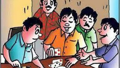 Betul Samachar: आमला में बड़े पैमाने पर फिर जुआ शुरू