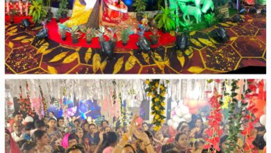 Radhashtami Mahotsav: राधाष्टमी महोत्सव पर वृंदावन धाम बना बीजासनी माता मंदिर परिसर