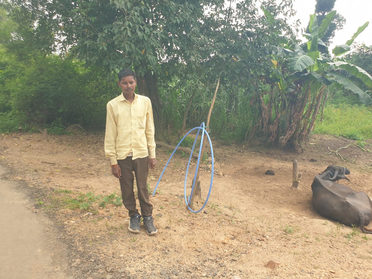 Betul News: नलजल योजना की हकीकत: पानी ढोने में बीत रहा ग्रामीणों का दिन