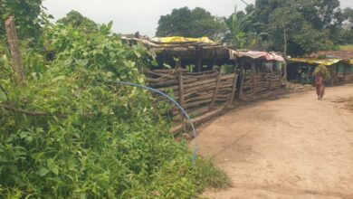 Nal-Jal Yojana : ग्रामीणों के लिए अभिशाप बनी नल- जल योजना