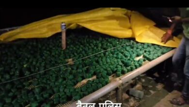 Betul Police Raid: 15 किलो लाइसेंस पर हो रहा था 60 किलो का कारोबार