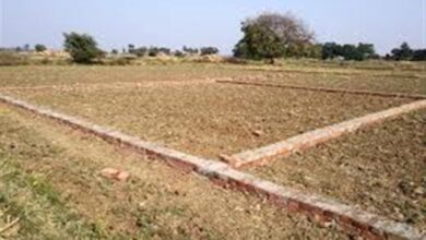 Betul Samachar: जिले के कुछ क्षेत्रों में संपत्ति के मूल्य में वृद्धि किए जाने की तैयारी