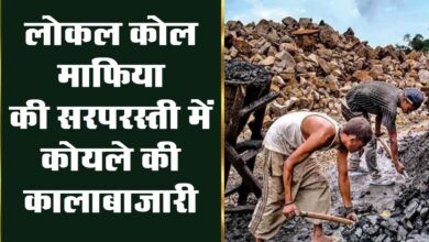 Betul Samachar: लोकल कोल माफिया की सरपरस्ती में कोयले की कालाबाजारी !