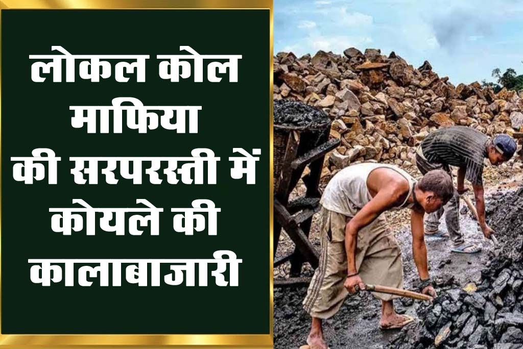 Betul Samachar: लोकल कोल माफिया की सरपरस्ती में कोयले की कालाबाजारी !