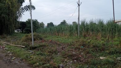 Betul Samachar : जलसंसाधन- राजस्व के वर्चस्व ने बटामा में कालोनाइजरों को पनपने का दिया मौका