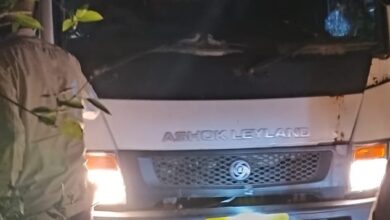 Betul News: सागौन कटाई मामले में कितने किरदार,भगवान भरोसे छोड़ दिया जंगल