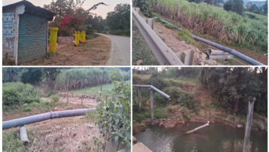 Betul Samachar: नपा ने नहीं ली सुध, लोगों ने पाइप चोरी कर लगा लिए पौधे