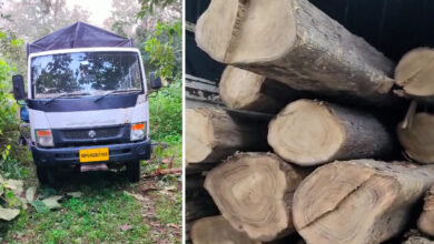 Betul Ki Khabar: मंडीदीप से ड्रायवर को गिरफ्तार कर अपनी पीठ थपथपा रहे वन अधिकारी