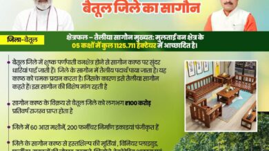 Betul Samachar: जिले का बेशकीमती सागौन वन डिस्ट्रिक-वन प्रोडक्ट में शामिल