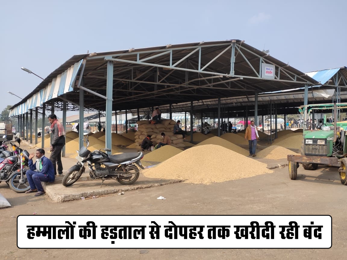 Betul Samachar: हम्मालों की हड़ताल से दोपहर तक खरीदी रही बंद