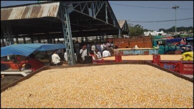 Betul Ki Khabar: मंडी में शेड के भीतर और बाहर परिसर में व्यापारियों का कब्जा