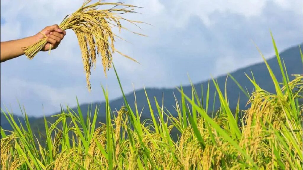 MP News: किसानों के लिए अच्छी खबर, मोहन सरकार खाते में डालेगी ₹10 हजार की राशि