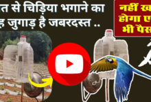 Khet Se Chidiya Bhagane Ka Jugad Video : खेत चिड़िया और जंगली जानवरों को भगाने का जबरदस्त जुगाड़, नहीं खर्च होगा एक भी पैसा, देखें वीडियो