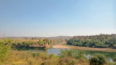 Betul News: तापी मेगा रिचार्ज को लेकर जमीनी स्तर पर कार्य शुरू