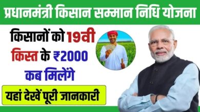 PM Kisan Samman Nidhi Yojana: किसानों के लिए खुशखबरी, इस तारीख को खाते में आएगी 19वीं किस्त की राशि