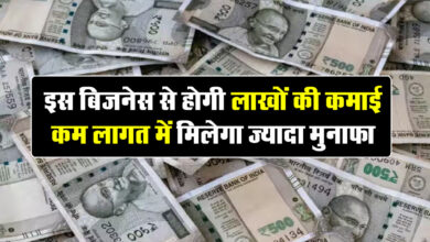 Best Business Idea: इस बिजनेस से होगी लाखों की कमाई, कम लागत में मिलेगा ज्यादा मुनाफा