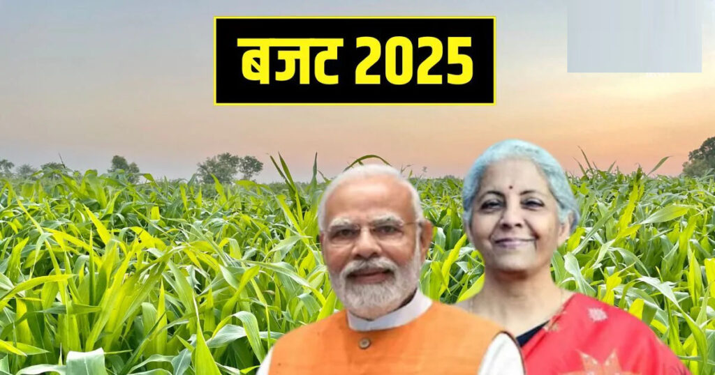 Budget 2025 : देश भर के किसानों को बड़ी राहत, बजट में हुए ये दो बड़े ऐलान, जमकर होगा फायदा