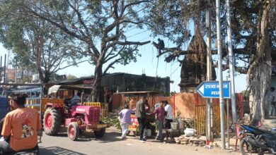 Betul News: पेट्रोल पंप से लल्ली चौक तक लाइन शिफ्टिंग के लिए होगी पेड़ों की कटाई