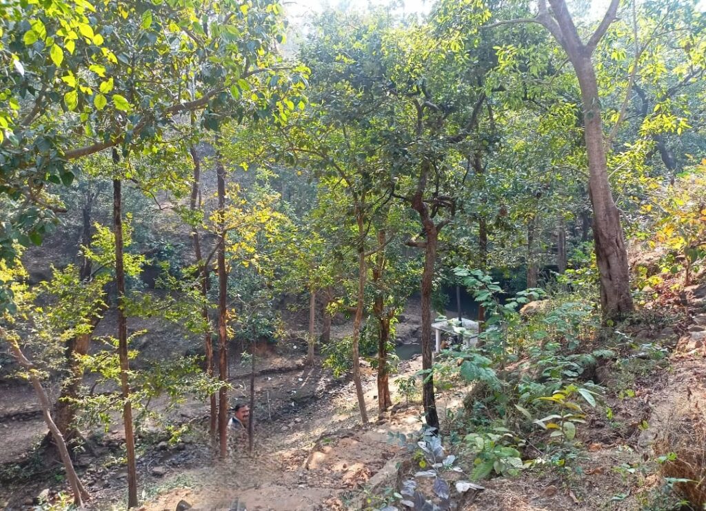 Tapti Conservation