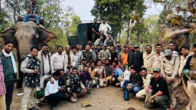 Betul Me Tendua : एसटीआर टीम ने तेंदुए को किया सुरक्षित रेस्क्यू, बच्चे को किया था घायल